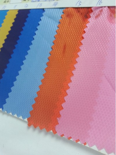 ZS-HIXG 孔雀點過膠 後面照